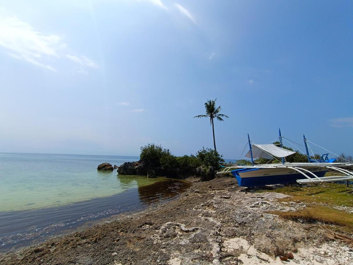 The Wild Orchid Resort - Moalboal Exterior photo