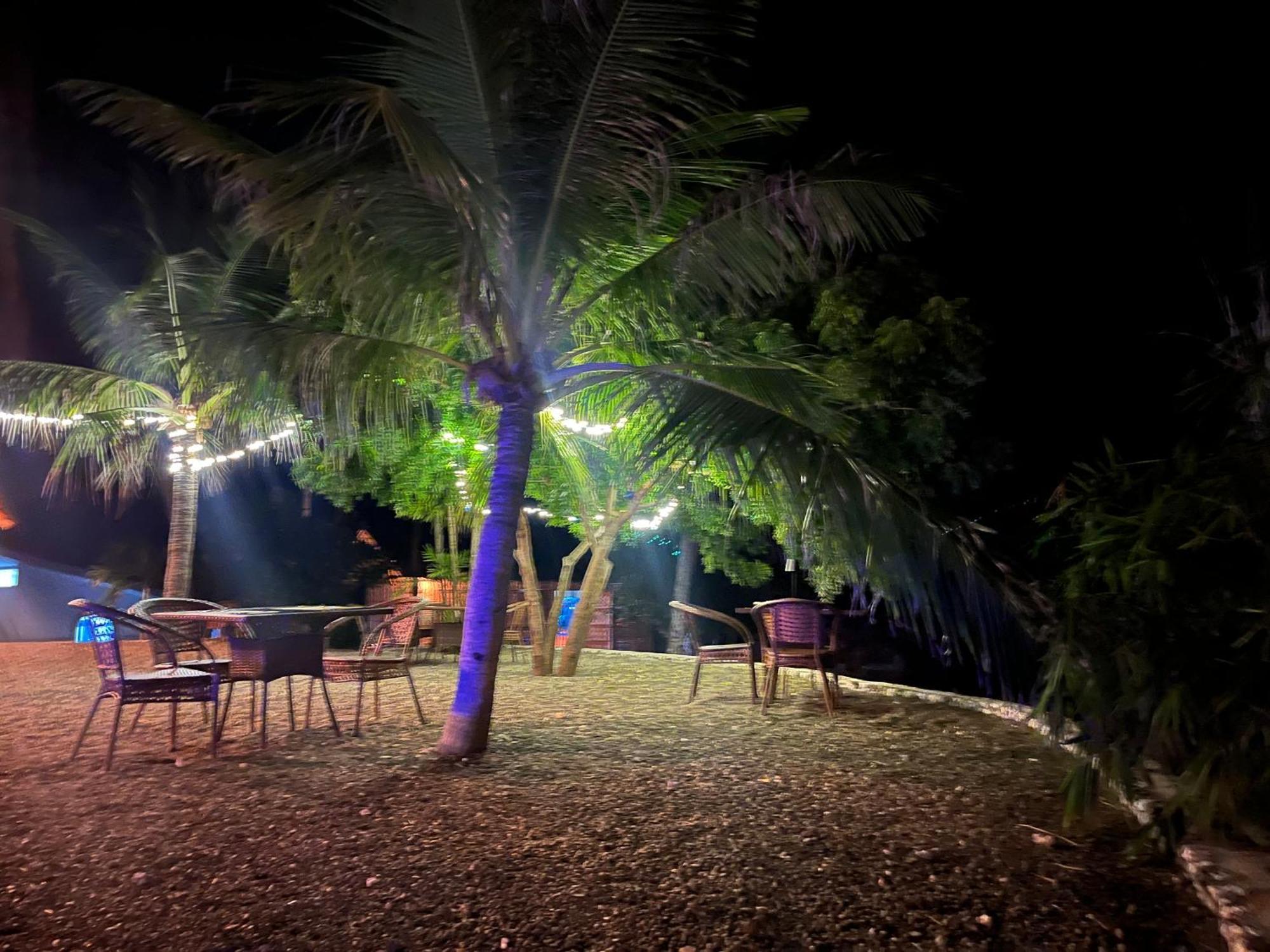 The Wild Orchid Resort - Moalboal Exterior photo